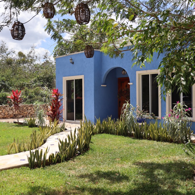 a tree in front of a house