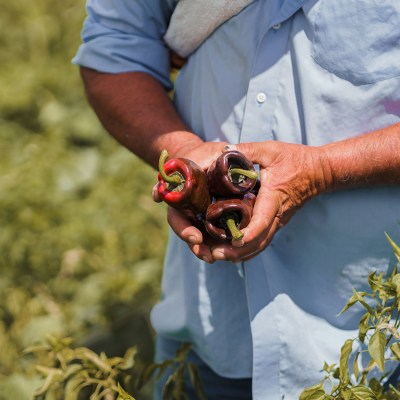a man holding a hot dog