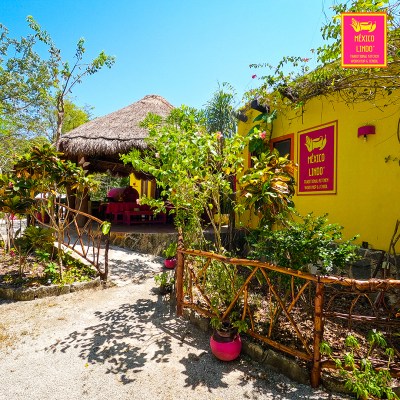 a close up of a flower garden