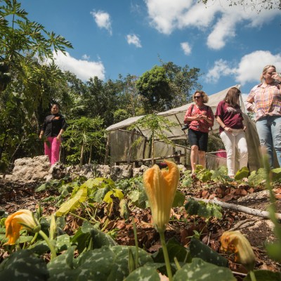 a group of people in a garden