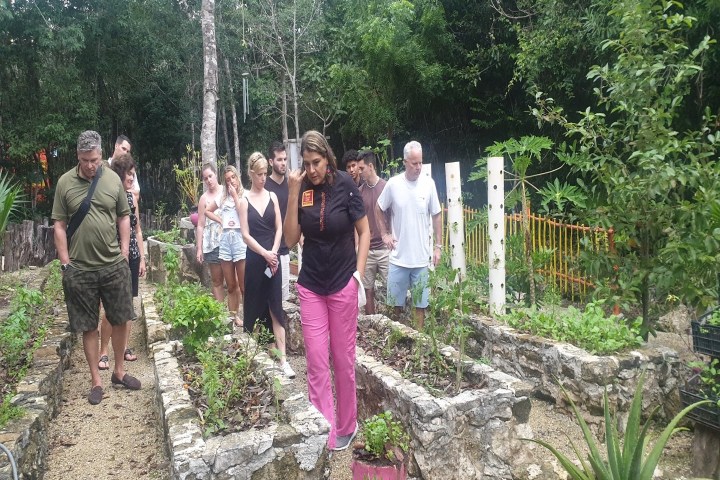 a group of people standing in a garden